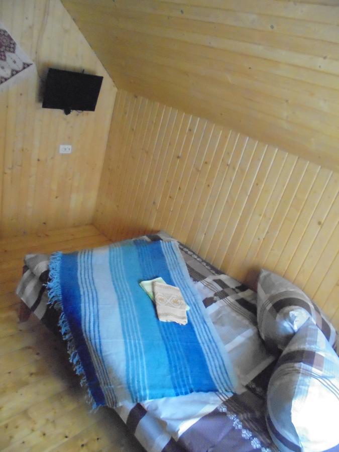 Lisovychok Villa Vorokhta Ngoại thất bức ảnh