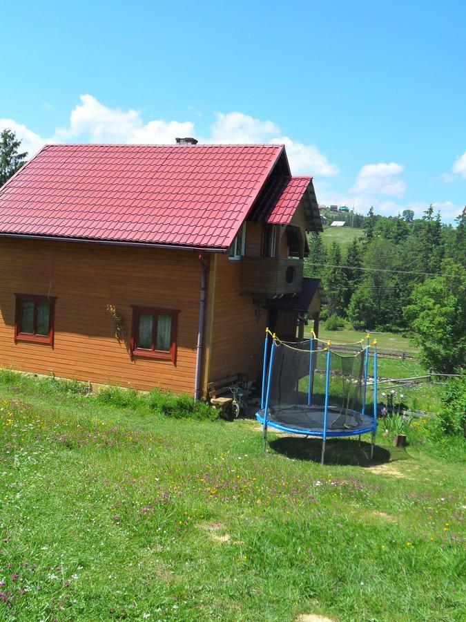 Lisovychok Villa Vorokhta Ngoại thất bức ảnh