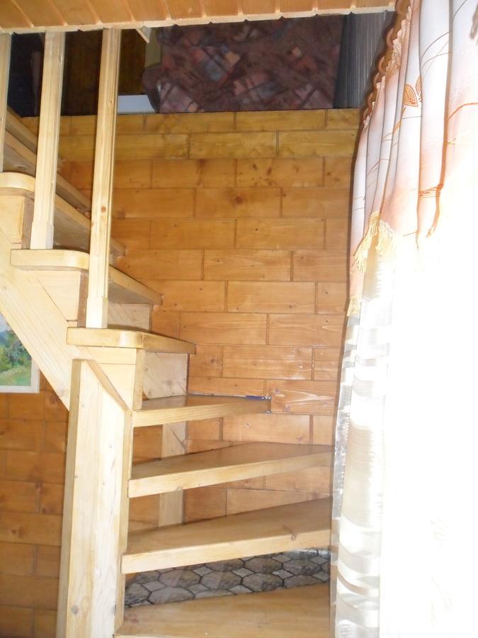 Lisovychok Villa Vorokhta Ngoại thất bức ảnh